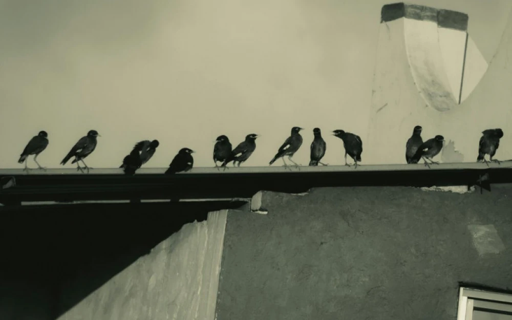 When two heads are better than one: scientists experiment with collective work of neural networks