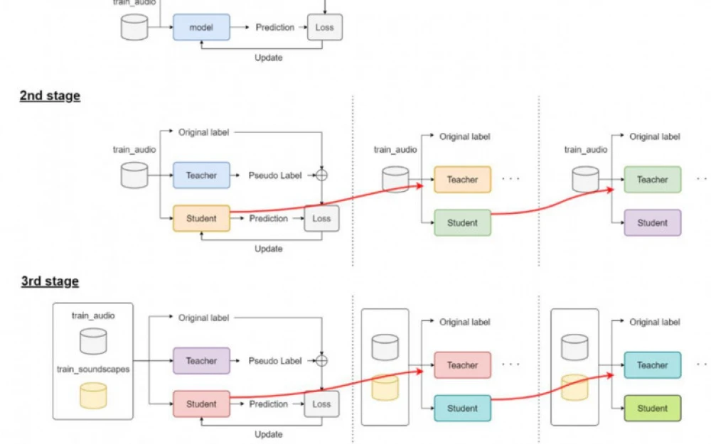 BirdCLEF+ 2025: Overview of the competition and key decisions of the top-5 teams