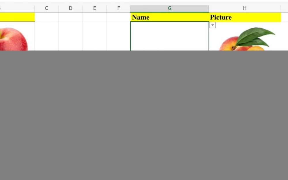 SolriXML: Rays of light in the dark forest of XML data