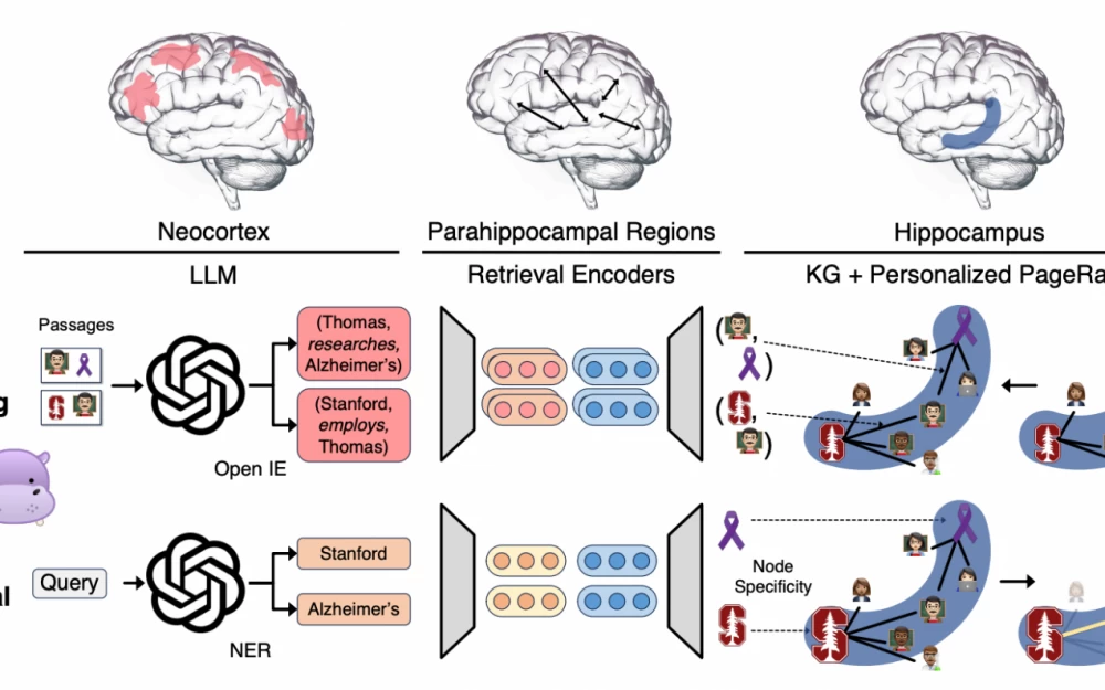 
Hippo-RAG: Long-term memory for LLM inspired by neurobiology