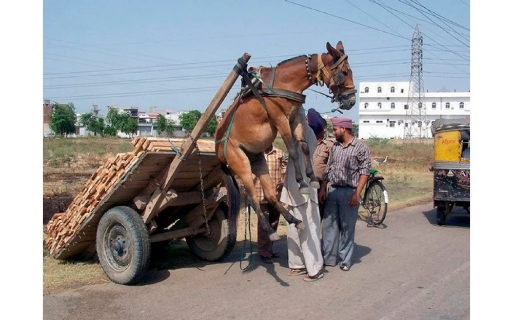 
I waited 10 billion cycles and only got a loading screen