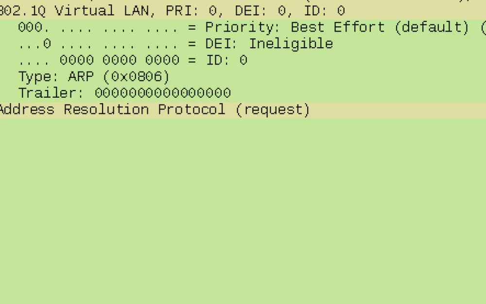 
About qemu and 802.1p protocol