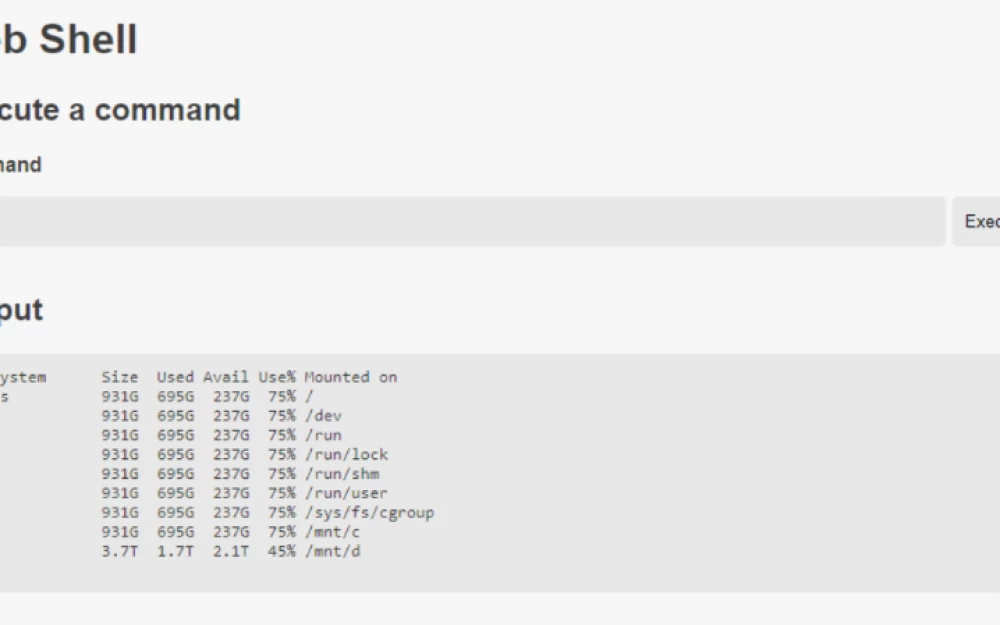 
Arbitrary File Write