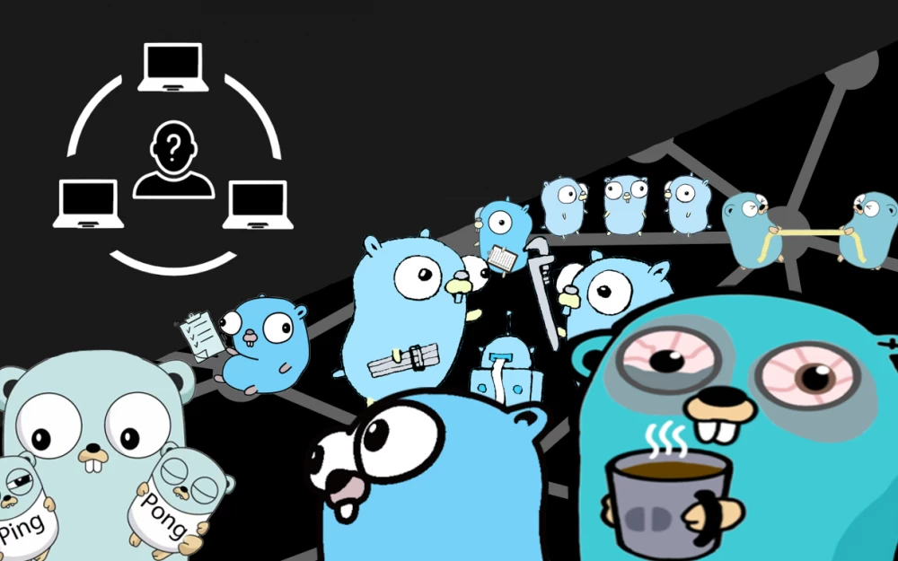 
Launching the Hidden Lake node in Go