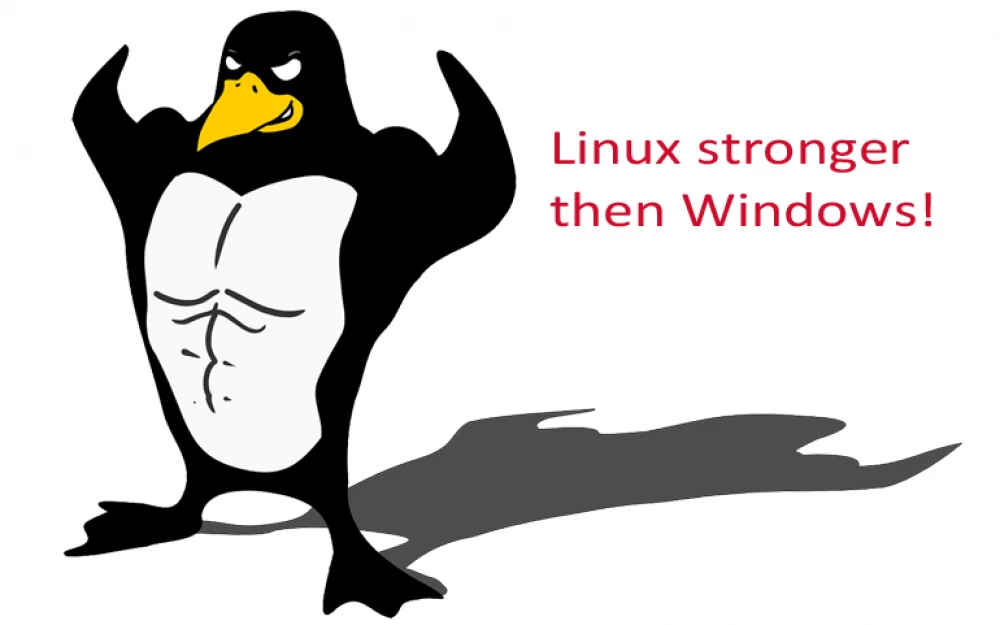 
How we created our server OS: a step-by-step story of NiceOS Z