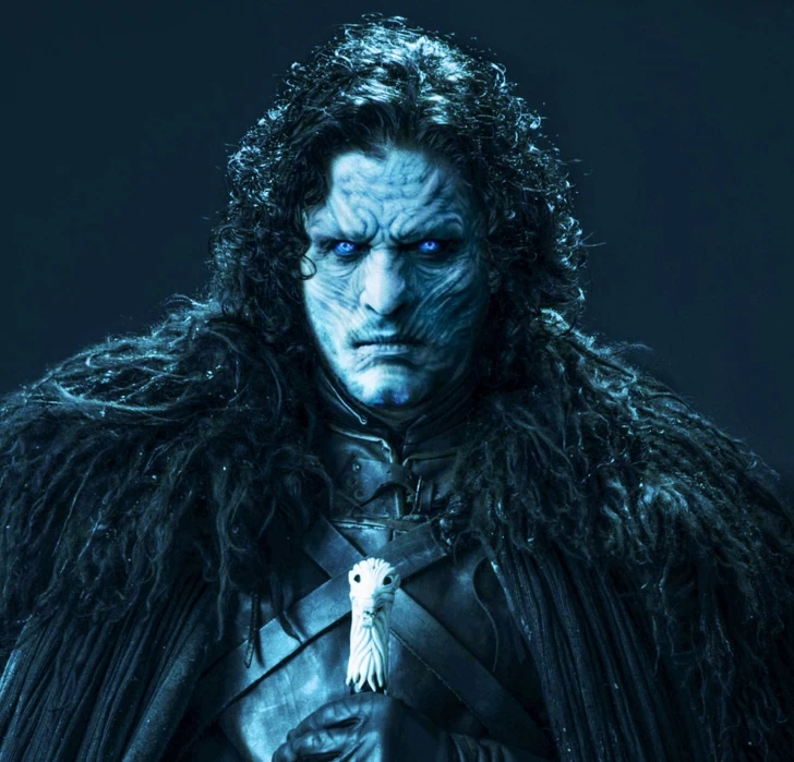 Fan art from an alternative plot where Jon Snow became the new Night King and stopped the White Walkers' invasion