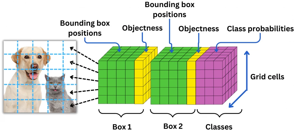 Founders of YOLO: who was at the origins