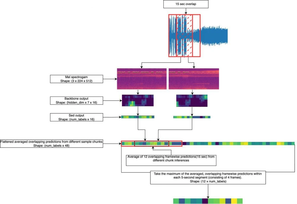 BirdCLEF+ 2025: Technologies and strategies used by the top-5 teams to win the competition.