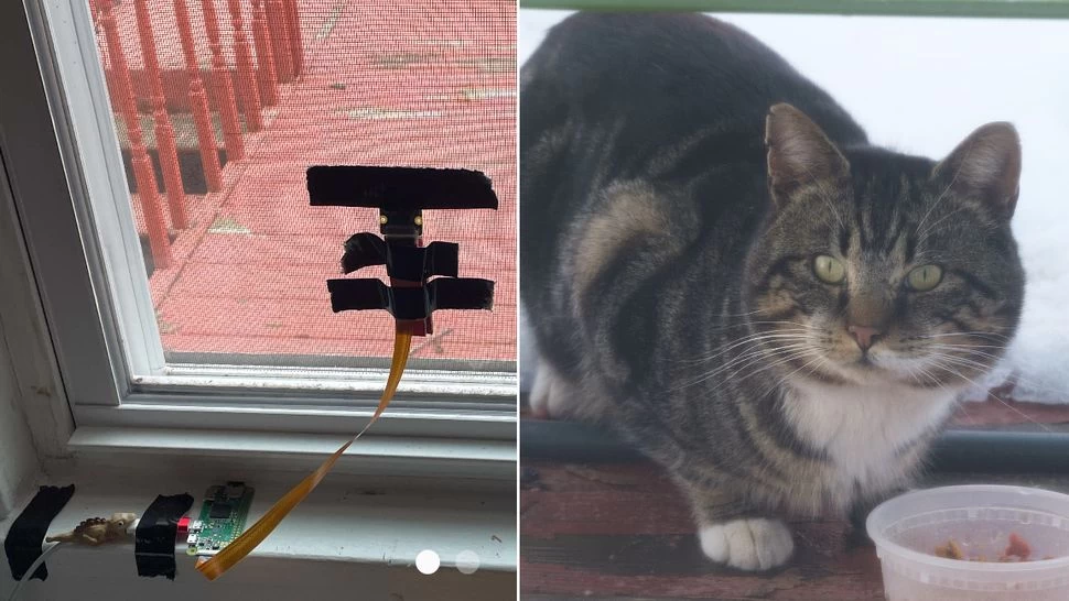 Photo of o1-mini and Sonnet 3.5 side by side for comparison
