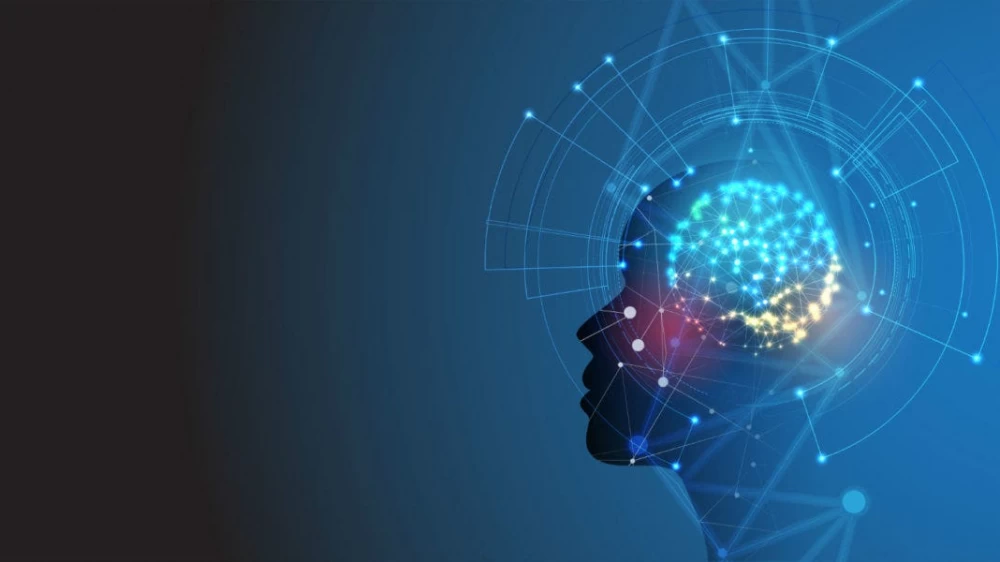 Artificial intelligence and machine learning: a conceptual scheme with neural networks and algorithms.