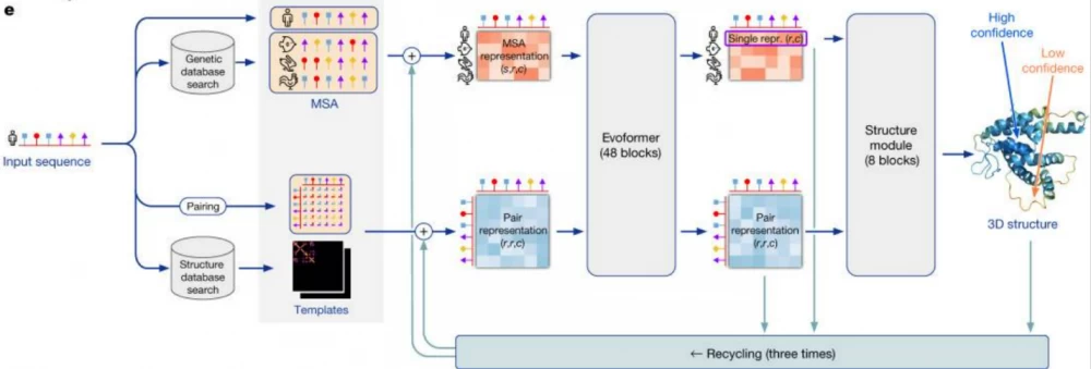 High-level diagram of the AlphaFold2 neural network architecture