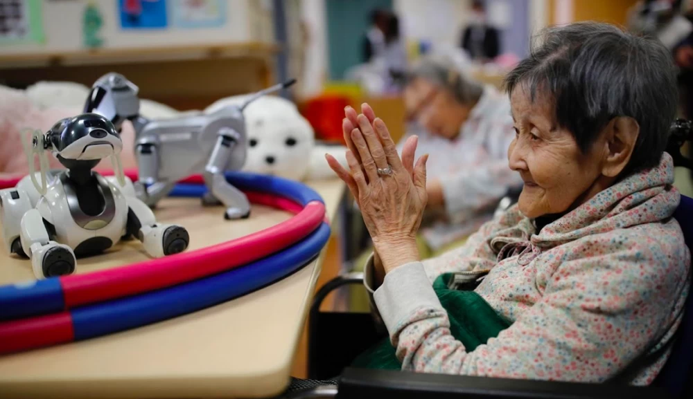 Sintomi resident calls AIBO robot dog with a clap. Source