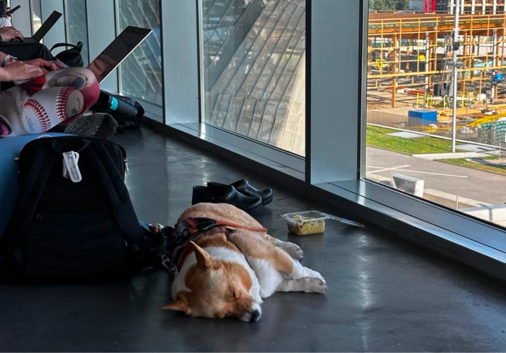 Keynote speakers at ECCV 2024 share their views on the future of computer vision.
