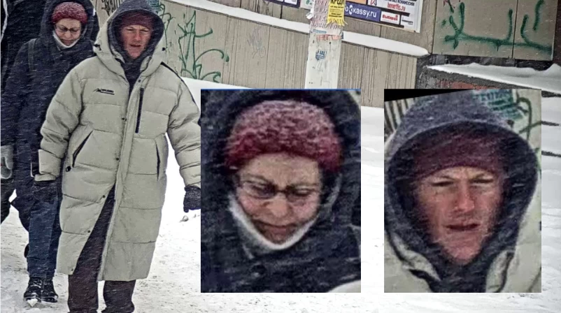 Image from the camera in heavy snow