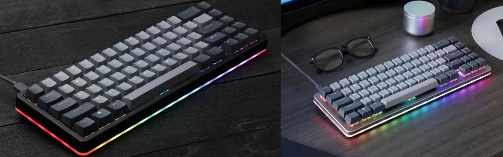 Classic mechanical keyboard case vs skeleton