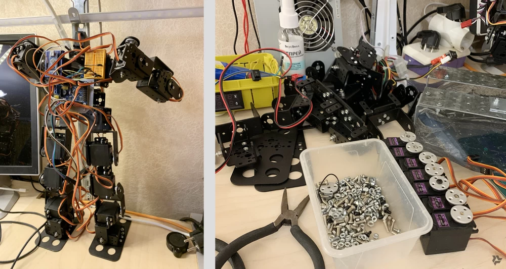 
Miniature robots made of cookies.
