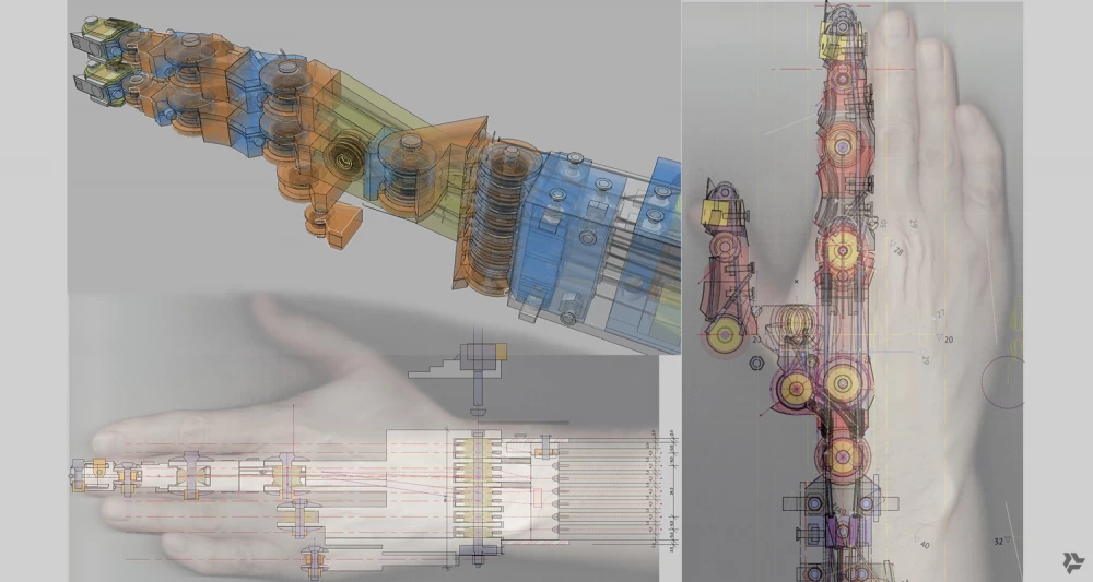 The picture shows the scheme of the device of the fingers of the hand