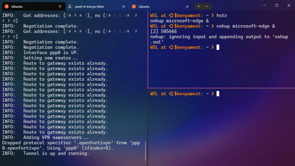 
A typical running terminal looks something like this