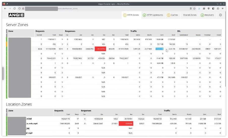 Here, for example, is a typical CDN server. At the moment, this beauty has distributed 12 PB, including 231 GB of playlists and 11 PB of video chunks.