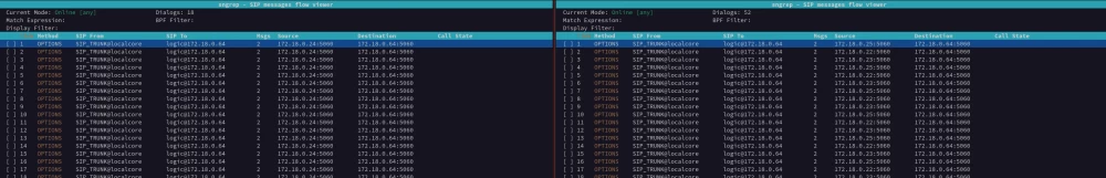 
sngrep from virtual machines