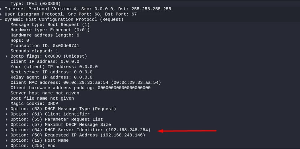 Network traffic diagram with suspicious DHCP requests