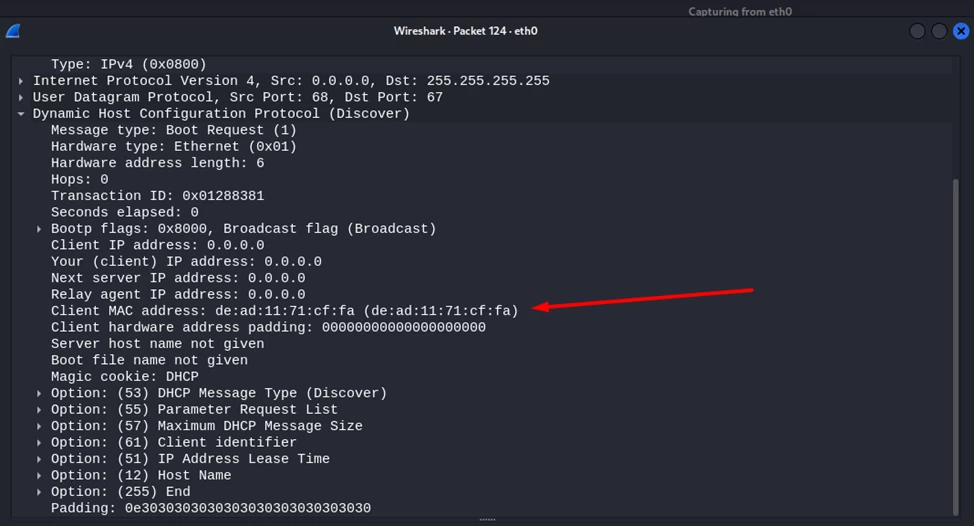 Example of capturing DHCP packets in Wireshark during an attack