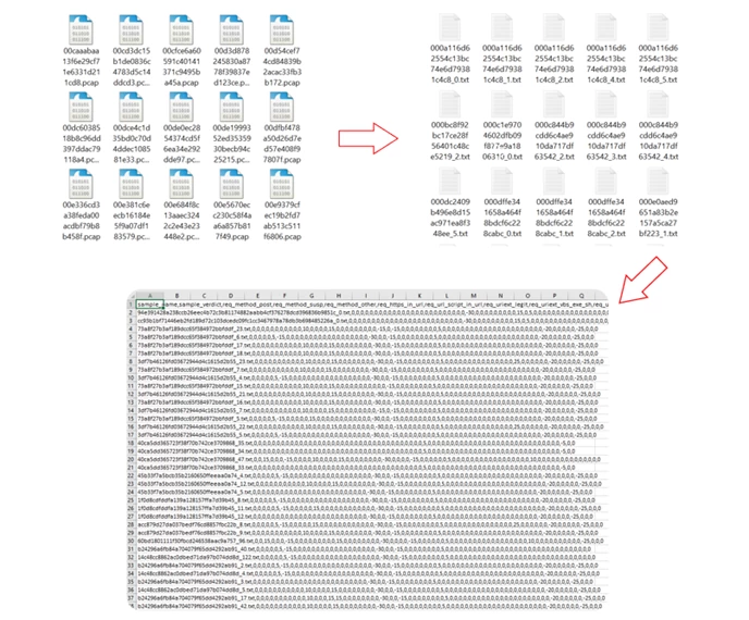 We first converted the PCAP files containing HTTP traffic into TXT with individual sessions, then into a CSV table