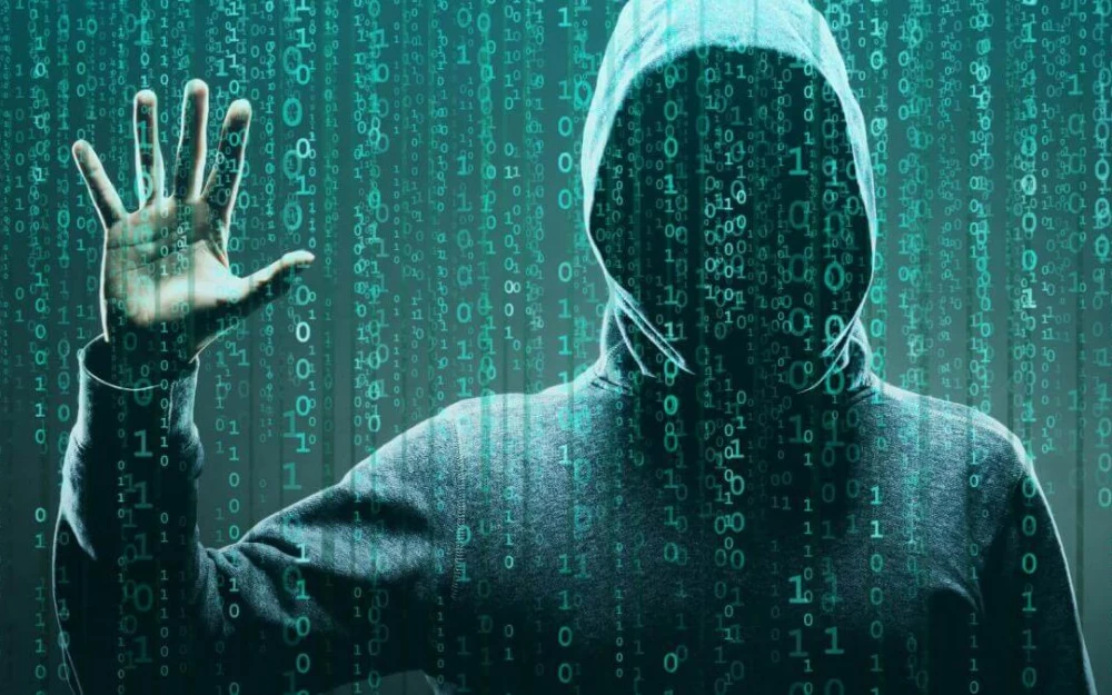 Largest DDoS attack on government websites