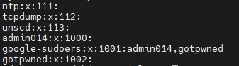 
Suspicious group member in /etc/group. We know that the google-sudoers group is used to manage access rights with sudo. The IT department did not add a user named gotpwned. 