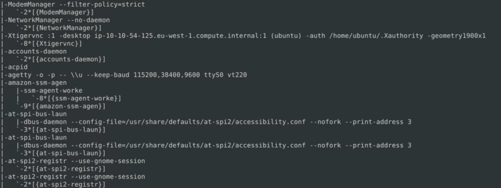 
A piece of the pstree -a tree 