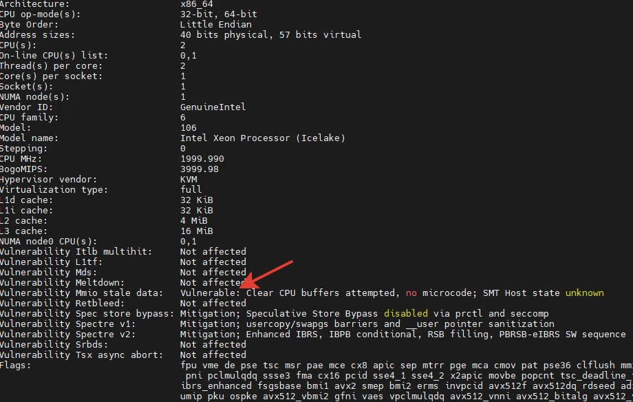 
The output of the lscpu command allows you to gather information about the processor