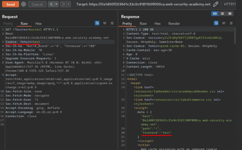 
Cache poisoning: examples and consequences

