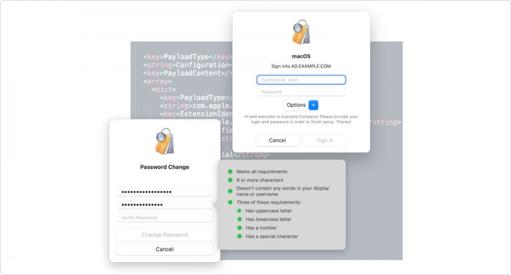 An employee uses a MacBook to work with corporate data