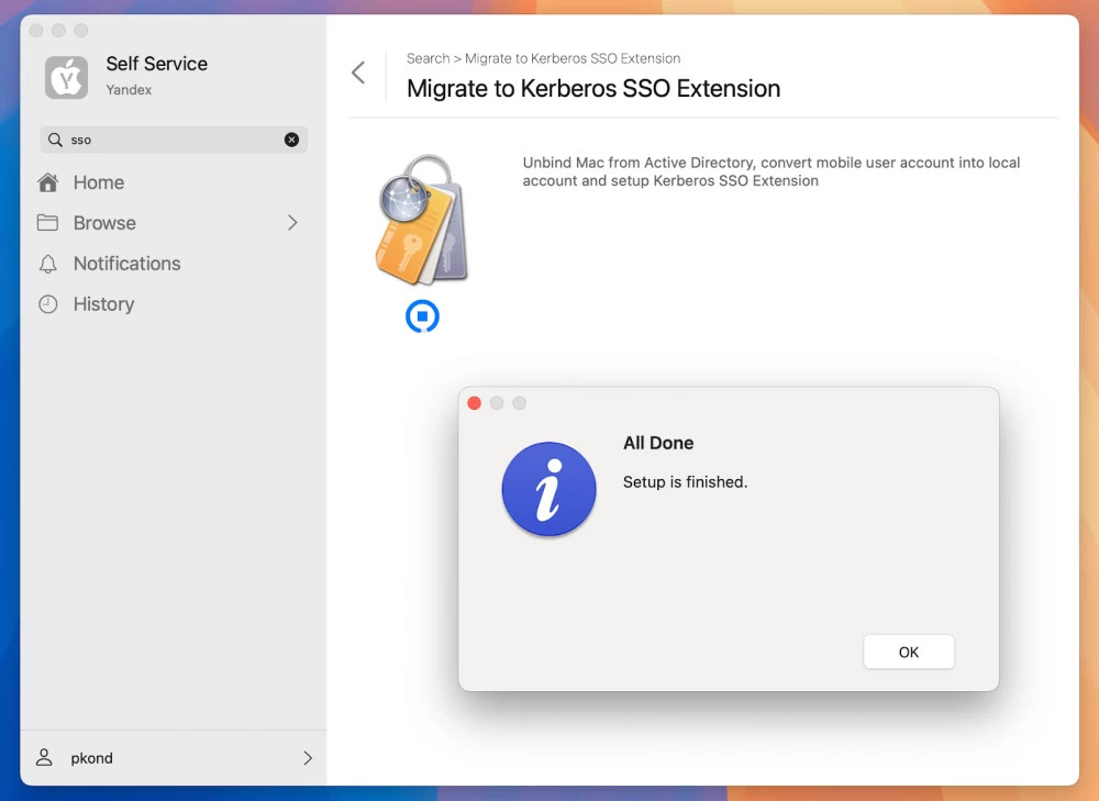 A group of employees discusses security policy for Mac