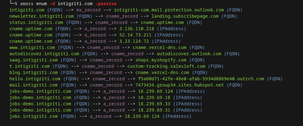 Subdomain enumeration using Amass