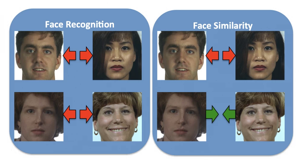 Concept of Recognition and Similarity