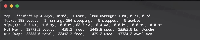 RAM usage on my server