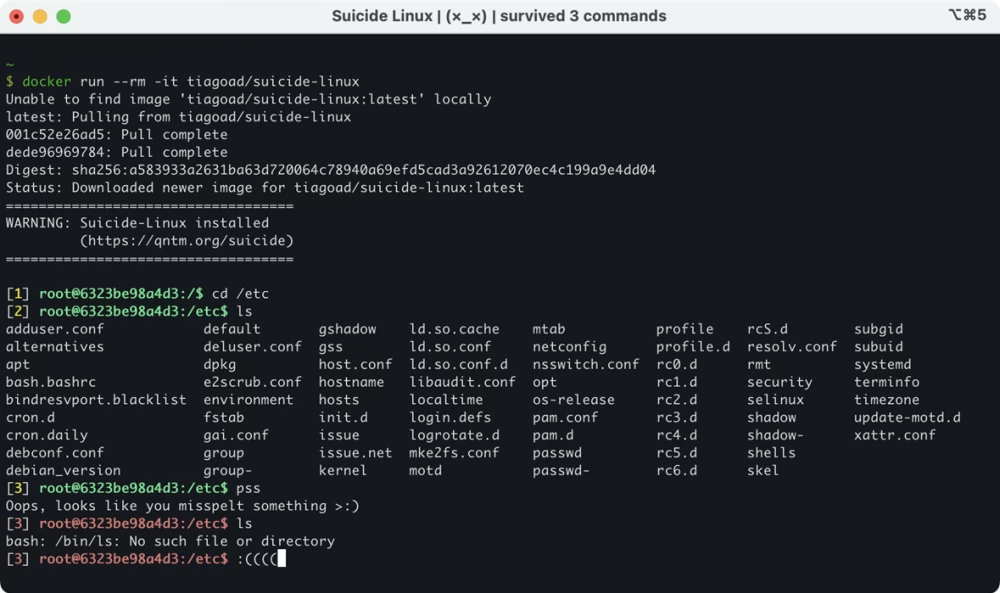 Logo of the Linux NixOS distribution with an emphasis on functional configuration