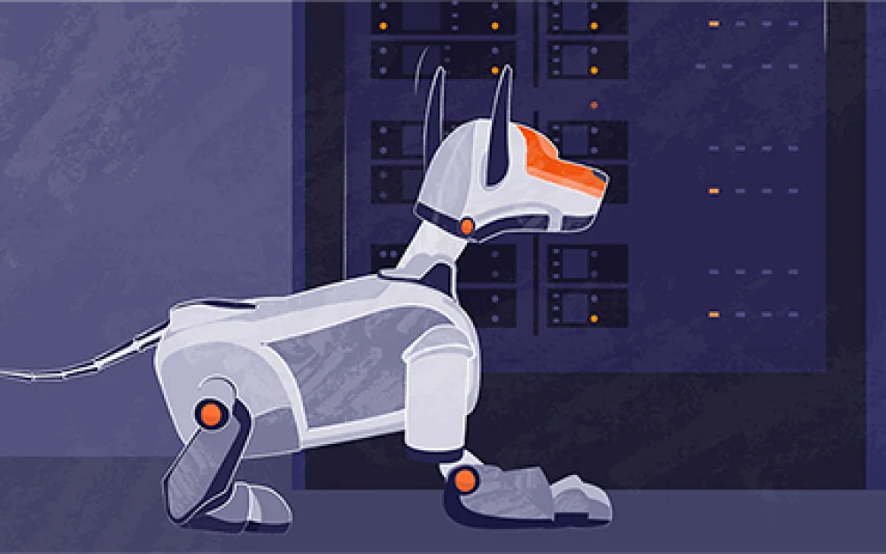 
Nose to the wind: how our DNS sniffer helps find Blind vulnerabilities