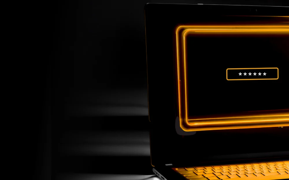 
Revealing Privileges: How PAM Helps Identify Hidden Risks