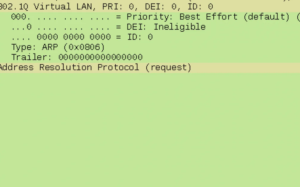 
About qemu and 802.1p protocol