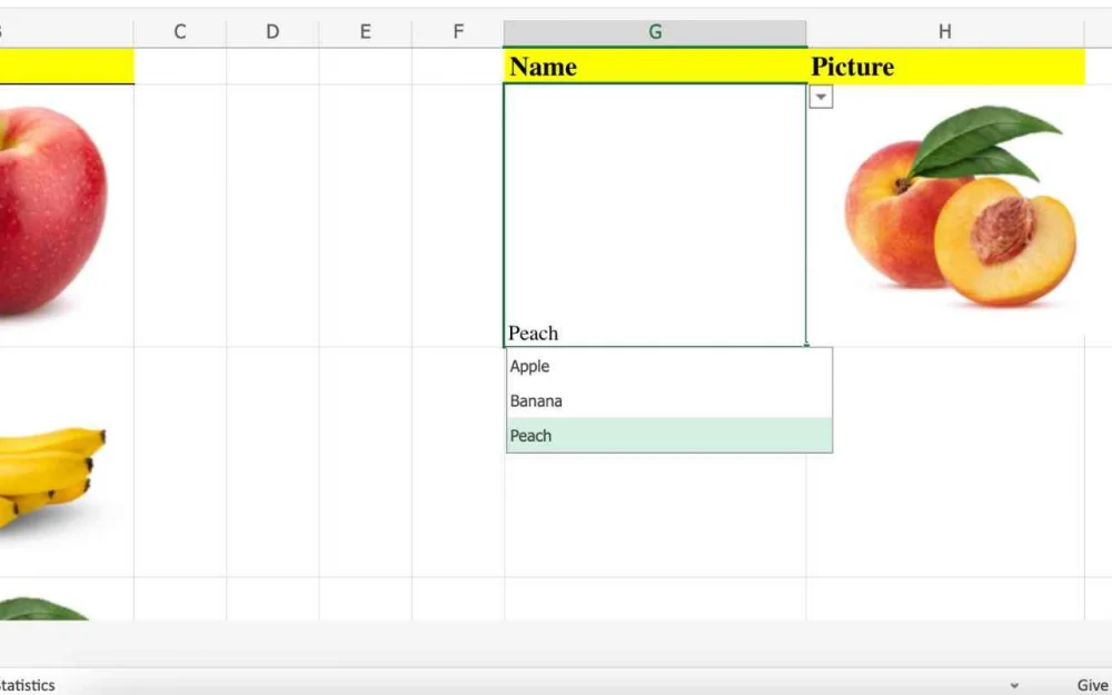 SolriXML: Rays of light in the dark forest of XML data