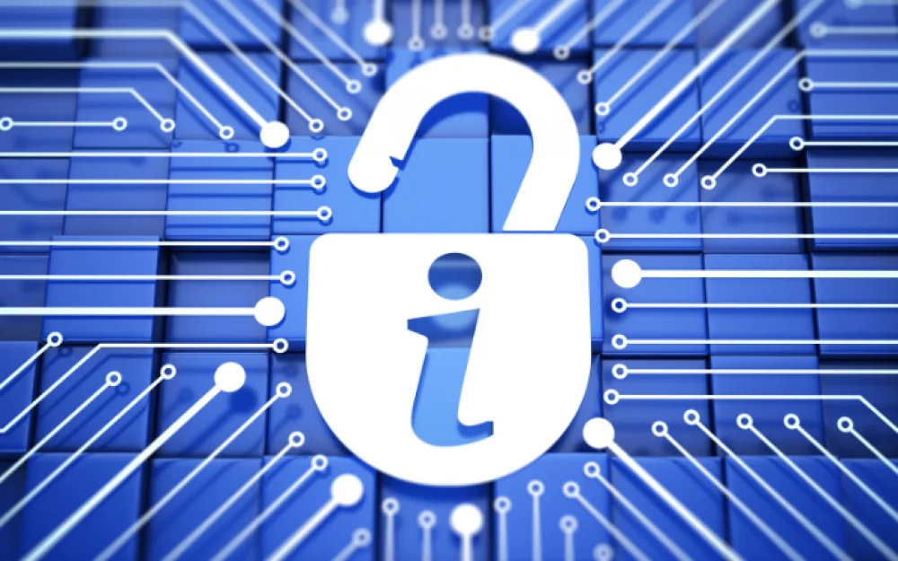 
Find out what the user did through the registry dump