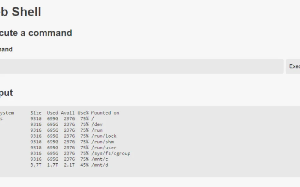 
Arbitrary File Write