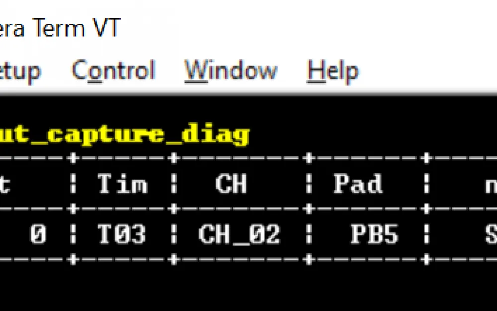 input_capture_diag