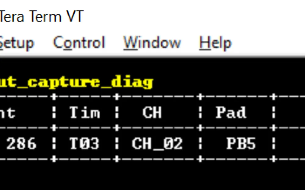 input_capture_diag