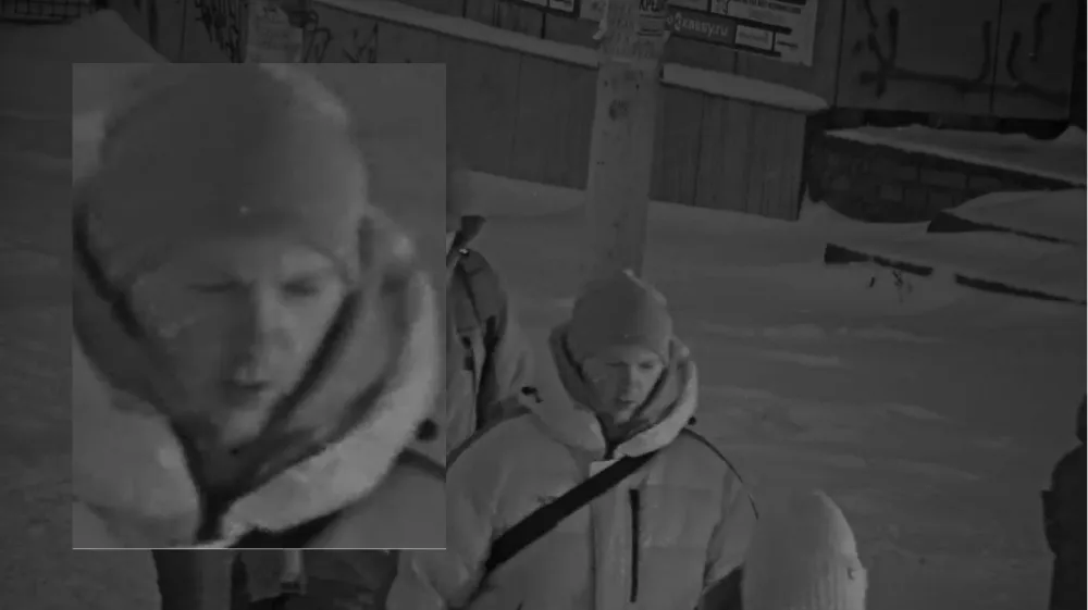 Example of a low-quality image from the database