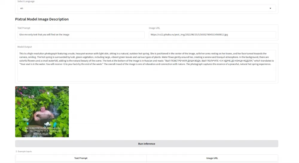 Example of the quantized multimodal neural network Pixtral-12b working on a less powerful GPU server