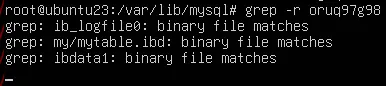 With the help of grep, it was possible to find where the data was written.