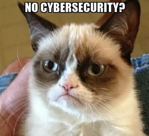 Implementation of the Maltrail system for controlling the fortress network and detecting spy attacks.